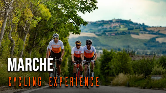  Marche Cycling Experience